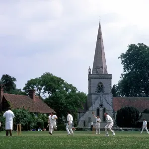 : Cricket