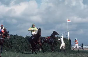 : Aintree Grand National