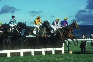 : Cheltenham Races 1982