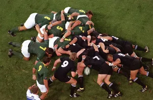 : New Zealand v South Africa