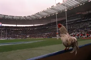 : Rugby France-England 2000
